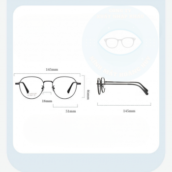 Gọng kim loại mã 6021